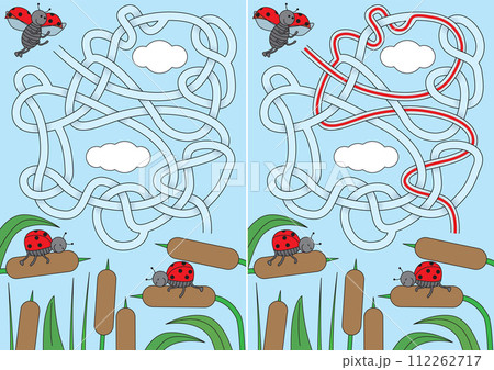 Ladybug maze 112262717