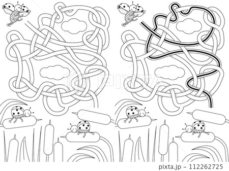 Ladybug maze 112262725