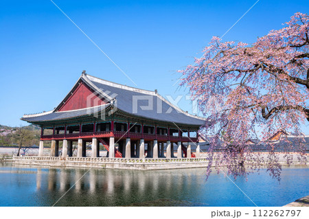 Gyeongbokgung palace with cherry blossom tree in spring time in seoul city of korea, south korea. Gyeongbokgung palace with cherry blossom tree in spring time in seoul city of korea, south korea. 112262797