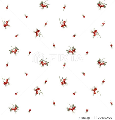 Rose hip red berries, watercolor seamless minimalistic floral pattern on white background. For use in design, fabric, textile, scrapbooking, wallpaper, wrapping papper, gift boxes, greeting cards, bac Rose hip red berries, watercolor seamless minimalistic floral pattern on white background. For use in design, fabric, textile, scrapbooking, wallpaper, wrapping papper, gift boxes, greeting cards, bac 112263255
