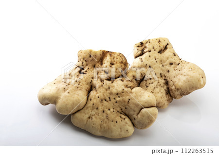 白バックのやまといも 112263515