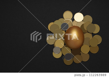 Golden egg with coins on a dark background Golden egg with coins on a dark background 112263989