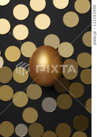 Golden egg with coins on a dark background Golden egg with coins on a dark background 112263990
