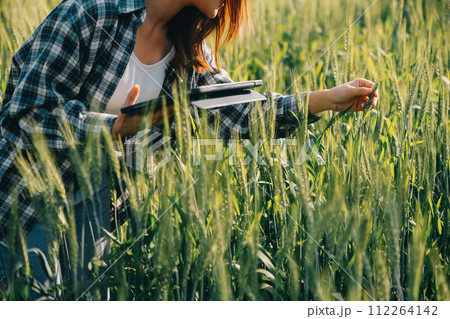 Smart farm. Farmer with tablet in the field. Agriculture, gardening or ecology concept. Harvesting. Agro business. Smart farm. Farmer with tablet in the field. Agriculture, gardening or ecology concept. Harvesting. Agro business. 112264142