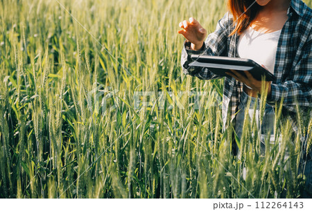 Smart farm. Farmer with tablet in the field. Agriculture, gardening or ecology concept. Harvesting. Agro business. Smart farm. Farmer with tablet in the field. Agriculture, gardening or ecology concept. Harvesting. Agro business. 112264143