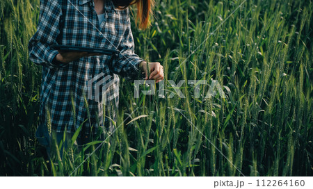 Smart farm. Farmer with tablet in the field. Agriculture, gardening or ecology concept. Harvesting. Agro business. Smart farm. Farmer with tablet in the field. Agriculture, gardening or ecology concept. Harvesting. Agro business. 112264160