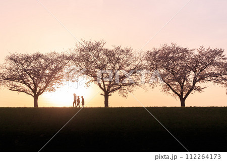 夕暮れ時の満開の桜と土手を歩く人 112264173