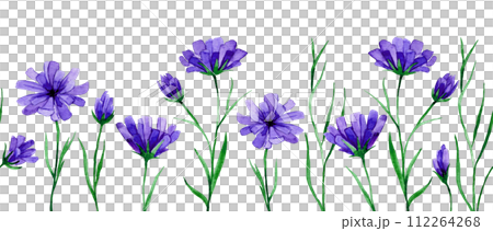 seamless border with wildflowers cornflowers. watercolor drawing. 112264268