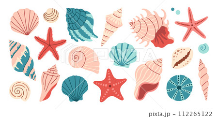 Sea shells set, mollusks, starfish. Trendy flat illustration of seashells collection isolated on white for stickers. 112265122