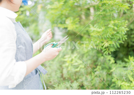 コンセプチュアルなイメージフォト 112265230