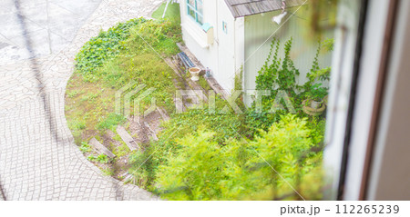 蔦に覆われた壁 112265239