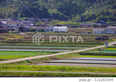 兵庫県南あわじ市　三原平野の農作地 112265304