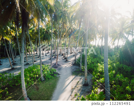Aerial view among coconut palm trees at tropical island. 112265491