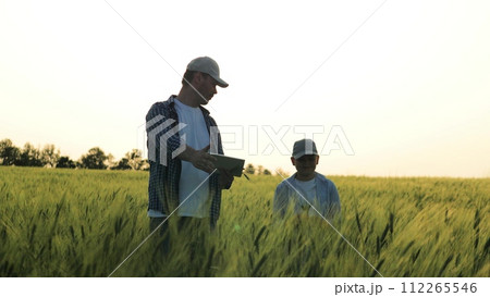 summer season, professional farmer son child kid working together wheat field, developing family business by growing plantation crops, farmer father son boy child kid walking wheat fields taking care summer season, professional farmer son child kid working together wheat field, developing family business by growing plantation crops, farmer father son boy child kid walking wheat fields taking care 112265546