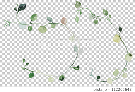 Watercolor tiny twigs with green leaves isolated illustration, botanical wedding element 112265648