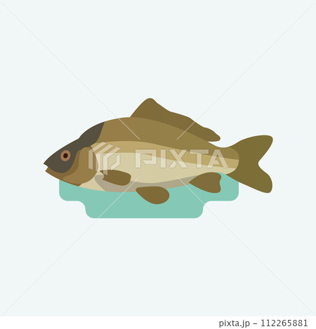 Cyprinus, carps fish. 112265881