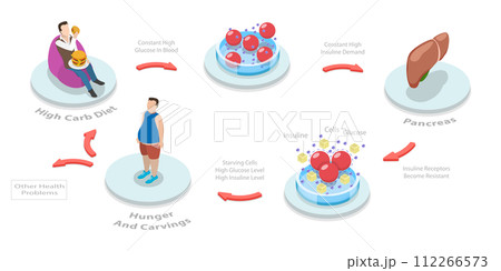 3D Isometric Flat  Conceptual Illustration of Insulin Resistance Syndrome 112266573