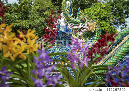 THAILAND SIRACHA WAT KHAO PHRA KHRU ORCHID THAILAND SIRACHA WAT KHAO PHRA KHRU ORCHID 112267291