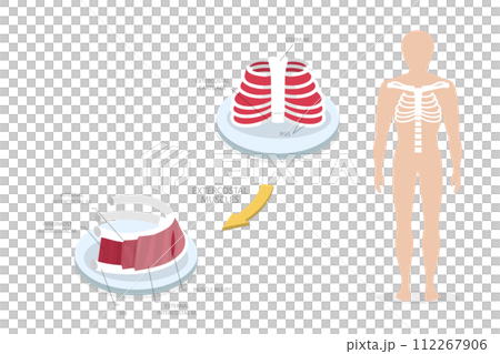 3D Isometric Flat Conceptual Illustration of Intercostal Muscle Strain, Human Anatomy 3D Isometric Flat Conceptual Illustration of Intercostal Muscle Strain, Human Anatomy 112267906