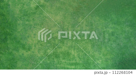 Green grass lawn texture 112268104