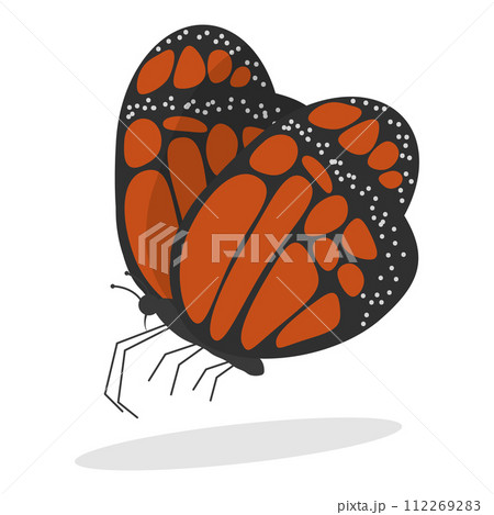 3D Isometric Flat Vector Set of Insects. Item 4 112269283
