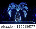 ライトアップされた夜のイルミネーション 112269577