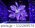 ライトアップされた夜のイルミネーション 112269578