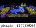 ライトアップされた夜のイルミネーション 112269595