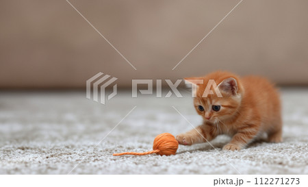 AI-generated content. Cute red kitten plays with a ball. Copy space. 112271273