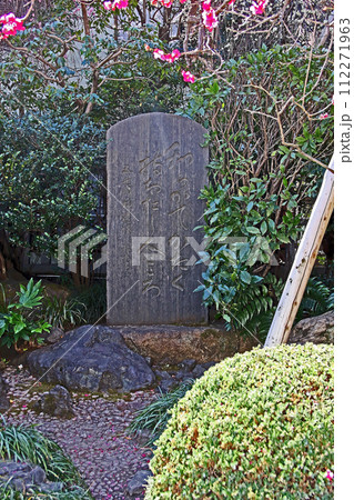 住吉神社(中央) 住吉神社(中央) 112271963