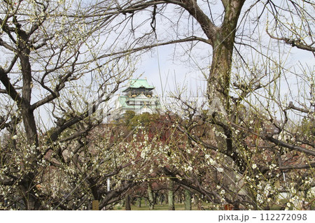 梅薫る大阪城公園の早春の風景 112272098