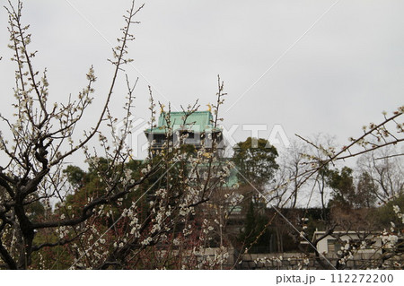 梅薫る大阪城公園の早春の風景 112272200