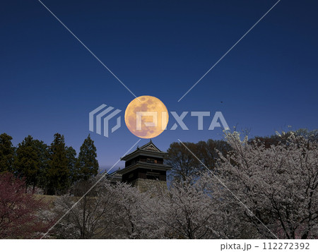 上田城の夜桜と満月 上田城の夜桜と満月 112272392