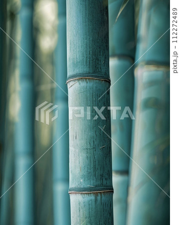 林の中の青い竹の風景 AI画像 林の中の青い竹の風景 AI画像 112272489