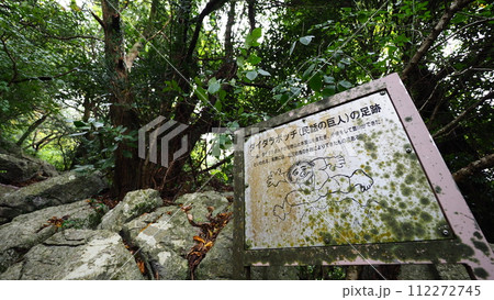 愛知県豊橋 石巻山 ダイダラボッチの足跡 愛知県豊橋 石巻山 ダイダラボッチの足跡 112272745