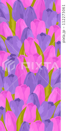 Colorful pink purple tulip flowers green leaves. Spring floral background blooming garden plants vector illustration Colorful pink purple tulip flowers green leaves. Spring floral background blooming garden plants vector illustration 112273061