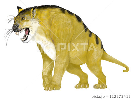 ティラコレオ 有袋の古代肉食獣 フクロライオン ティラコレオ 有袋の古代肉食獣 フクロライオン 112273413
