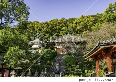 四国八十八箇所69番　観音寺　薬師堂と心経殿　香川県観音寺市 112273987