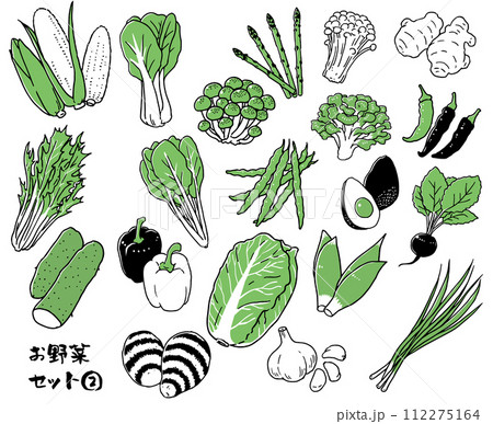 お野菜セット②単色 112275164