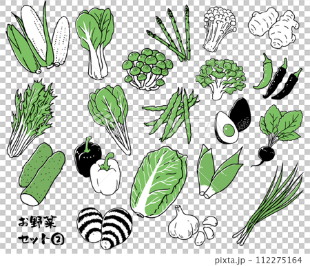 お野菜セット②単色 112275164