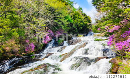 竜頭の滝（5月） 112275612