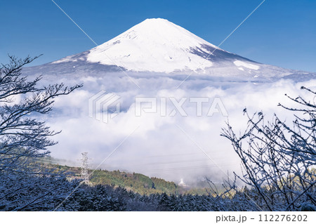 《静岡県》富士山と雪景色の大雲海・乙女峠の眺望 《静岡県》富士山と雪景色の大雲海・乙女峠の眺望 112276202