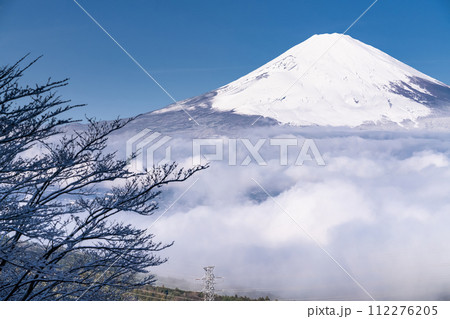 《静岡県》富士山と雪景色の大雲海・乙女峠の眺望 112276205
