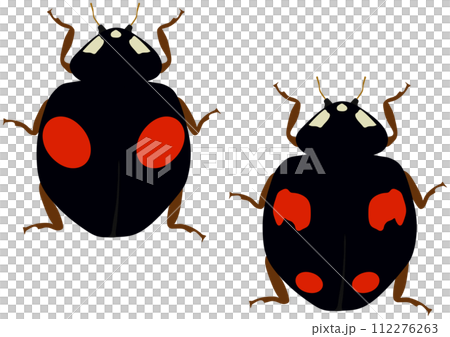 益蟲「奈米瓢蟲」2圖案，黑底紅圖案2，4圖案，黑底紅圖案4，垂直排2 112276263