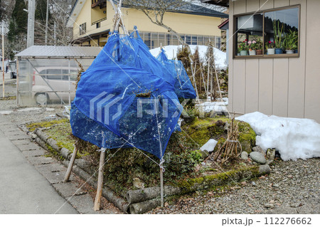 ウィンター 冬期 冬場 112276662