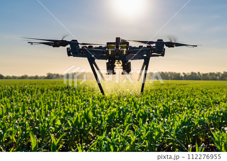 The agricultural drone is flying and spraying fertilizer in a green cornfield. 112276955