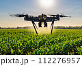 The agricultural drone is flying and spraying fertilizer in a green cornfield. 112276957