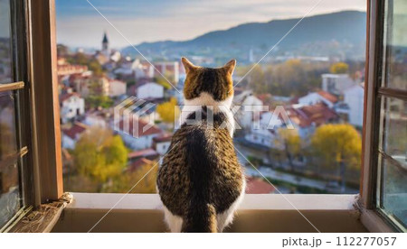 窓の外を眺める猫 窓の外を眺める猫 112277057