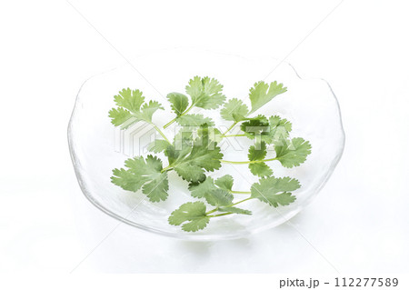 新鮮なパクチー 緑黄色野菜 緑のハーブ 穫れたて野菜 健康野菜 コリアンダー シャンツァイ 新鮮なパクチー 緑黄色野菜 緑のハーブ 穫れたて野菜 健康野菜 コリアンダー シャンツァイ 112277589