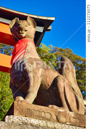 京都 伏見稲荷大社 狛狐 京都 伏見稲荷大社 狛狐 112278075